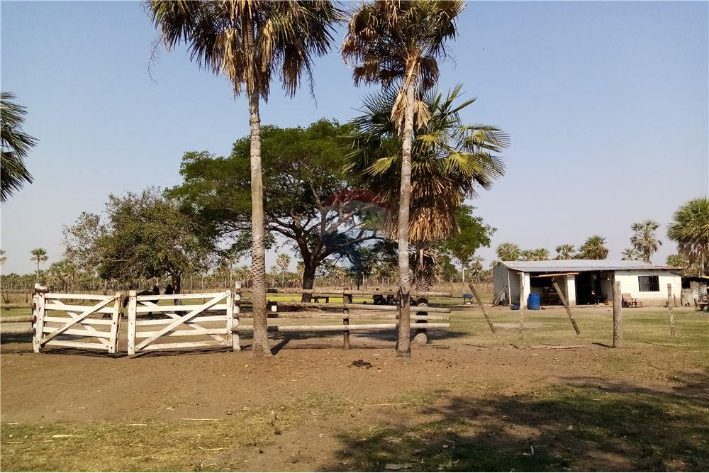 Estancia/Campo - Venta - Villa Hayes, Paraguay — foto 2