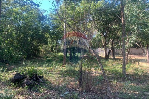 Terreno - Venta - Paraguay Cordillera San Bernardino — foto 3