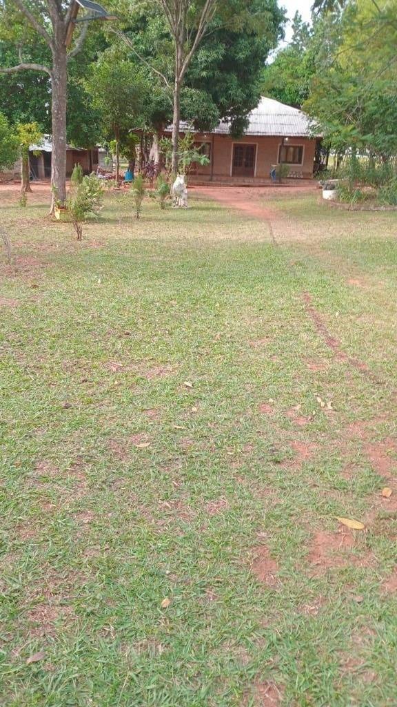 VENDO HERMOSA GRANJA DE 5 HAS EN PIRIBEBUY — foto 3