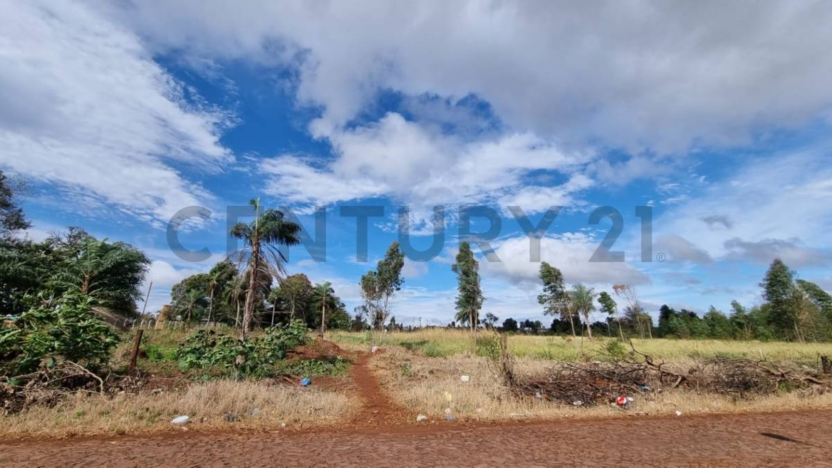 Terreno de 4.8 Hectáreas en Pedro Juan Caballero - foto 4