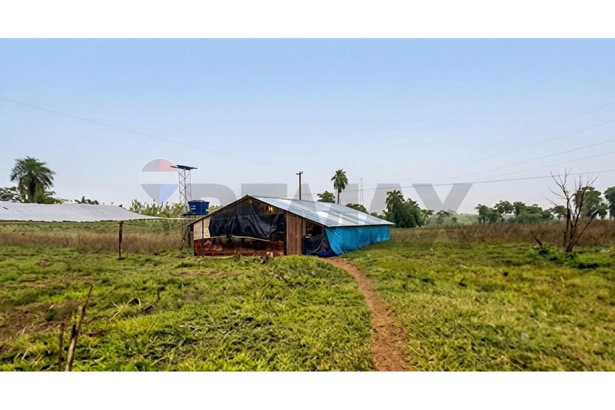 Granja Avícola en Producción en Pirayú — foto 2