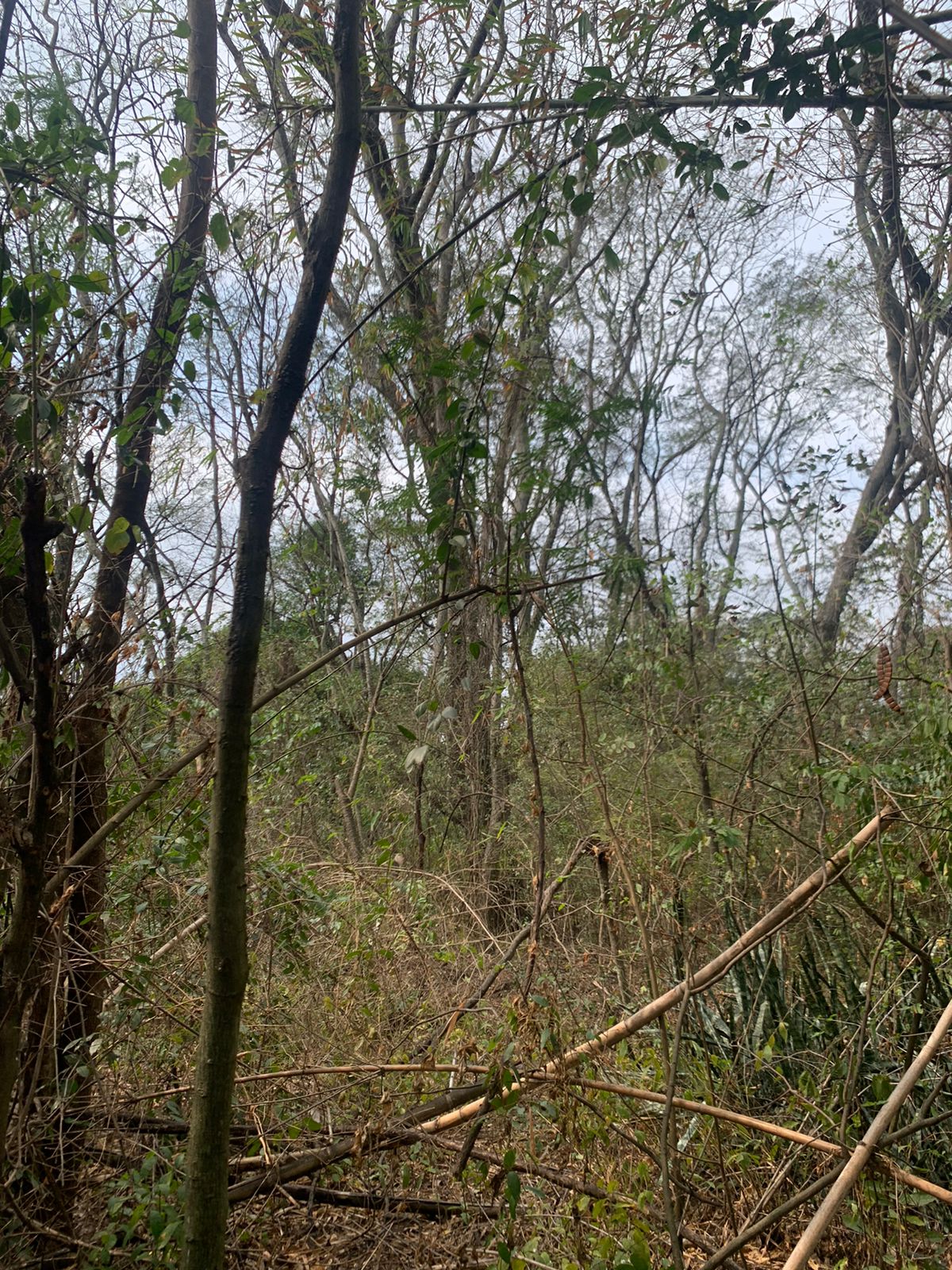 VENDO TERRENO SOBRE EL RIO SAN ANTONIO — foto 2