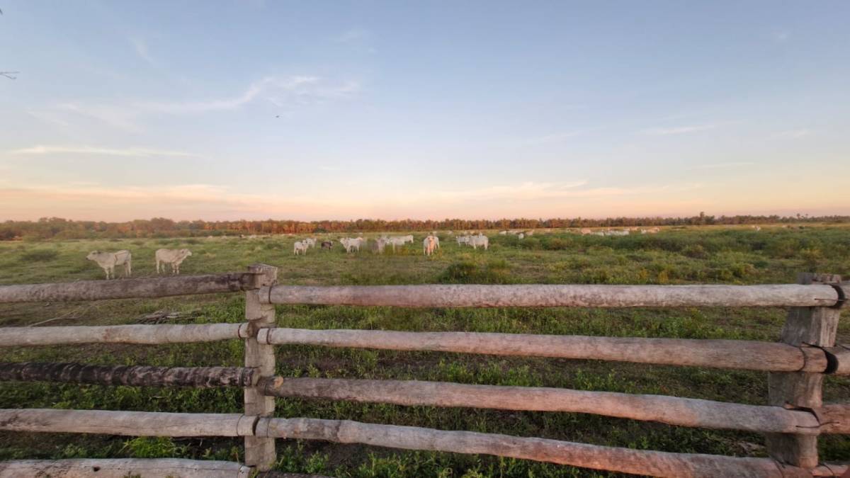 VENTA - Estancia 326 ha sobre Ruta 12 - General Bruguez, Villa Hayes — foto 3