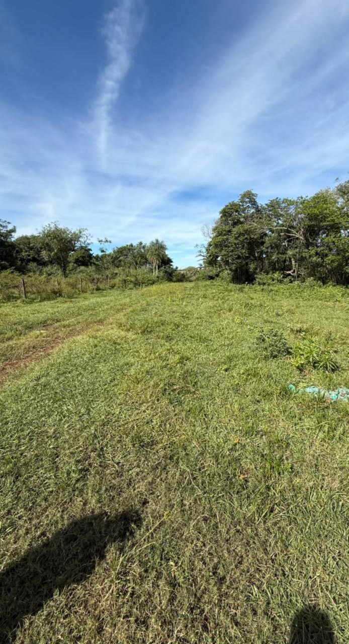 Terreno en venta en San Bernardino — foto 3