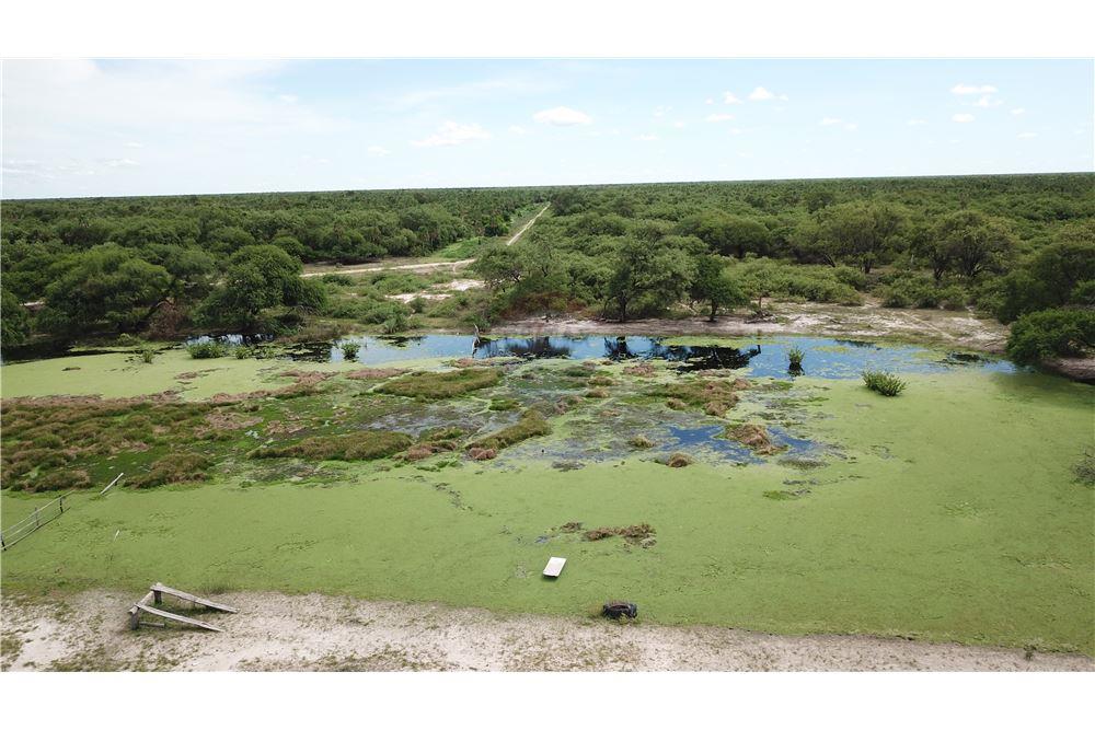 VENDO CAMPO EN PRESIDENTE HAYES 7.500 HECTAREAS — foto 3