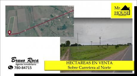 40 Hectareas En Venta