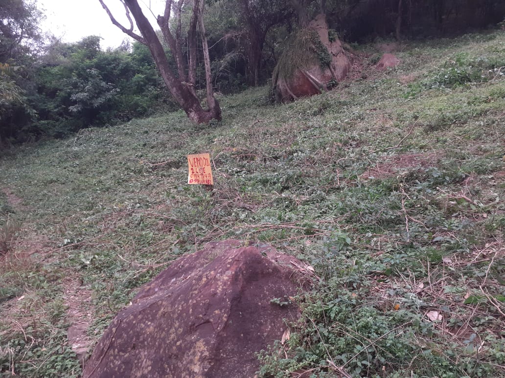 Vendo 2 terrenos juntos  en Yaguaron — foto 2
