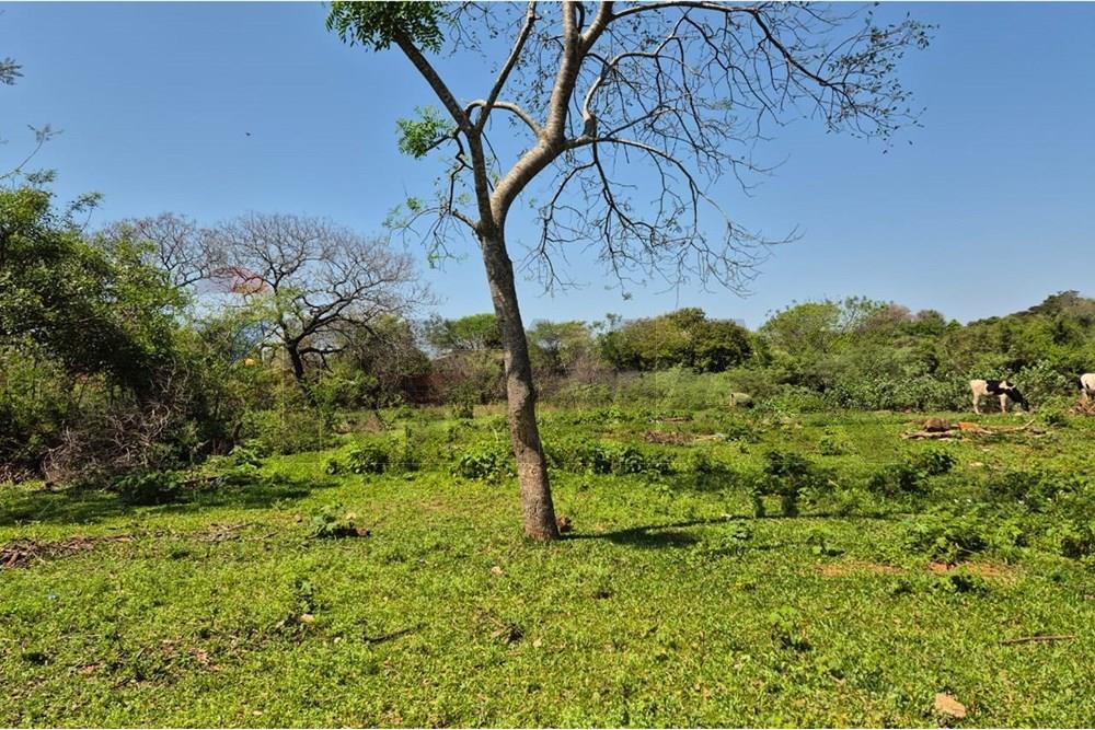 Terreno en Luque - San Bernardino. — foto 2