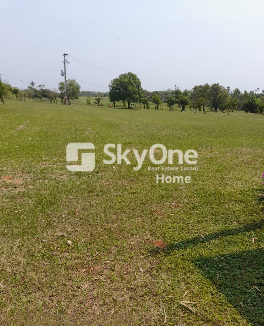 VENDO PROPIEDAD RURAL EN VILLETA — foto 3