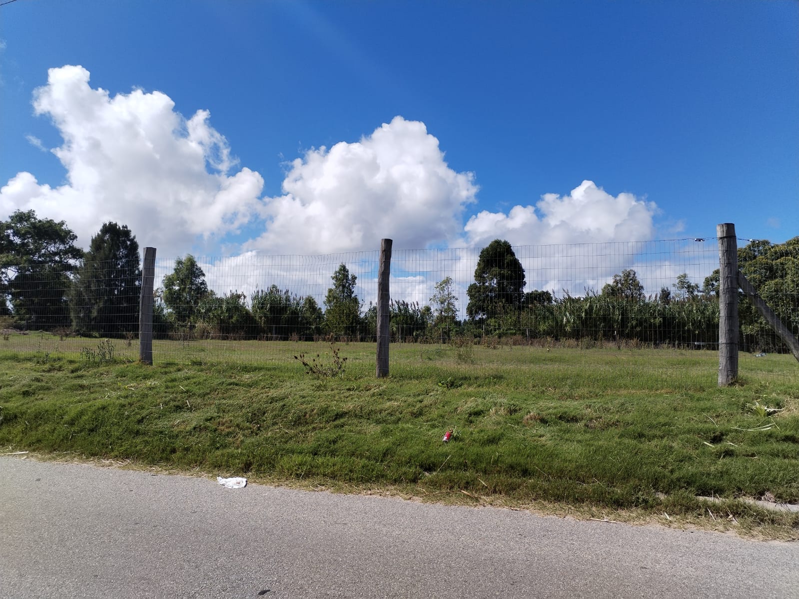 Alquiler de Terreno en Interbalnearia de 5.000 m2 · Foto 3