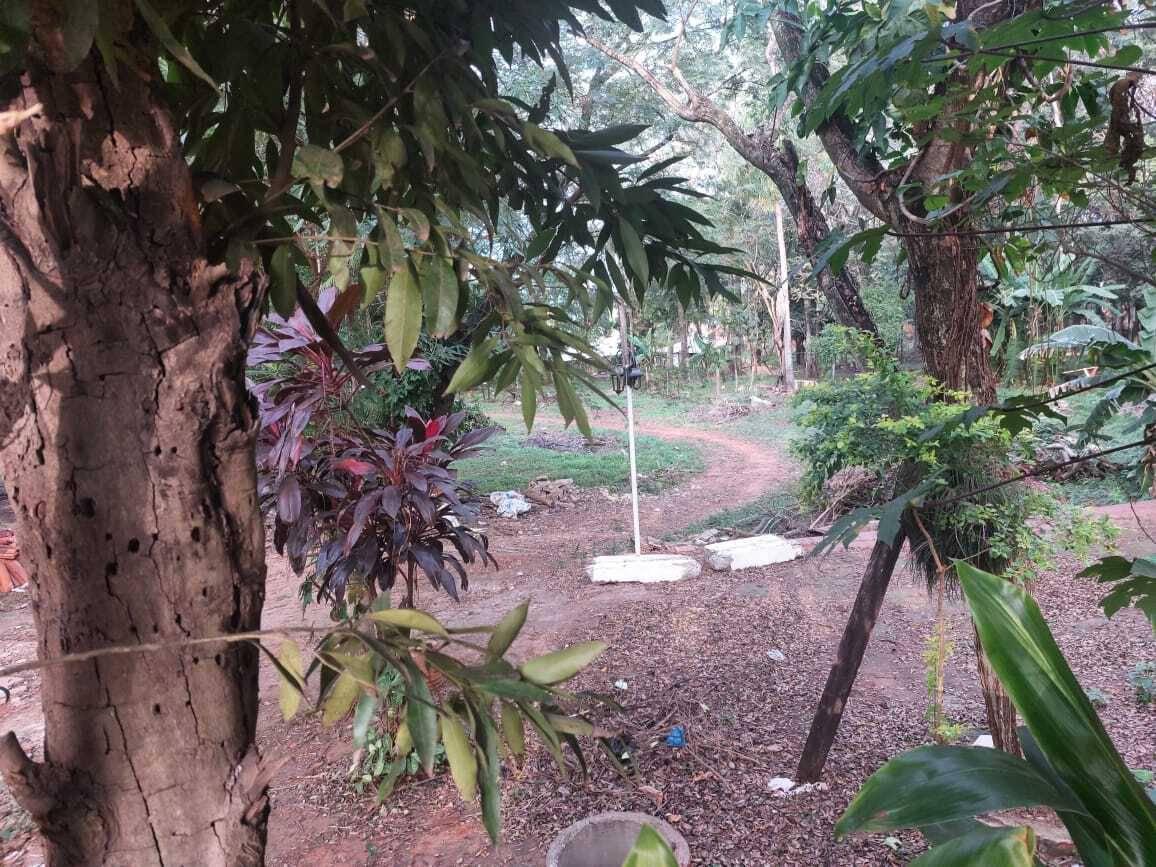 VENDO TERRENO EN ÑEMBY — foto 2