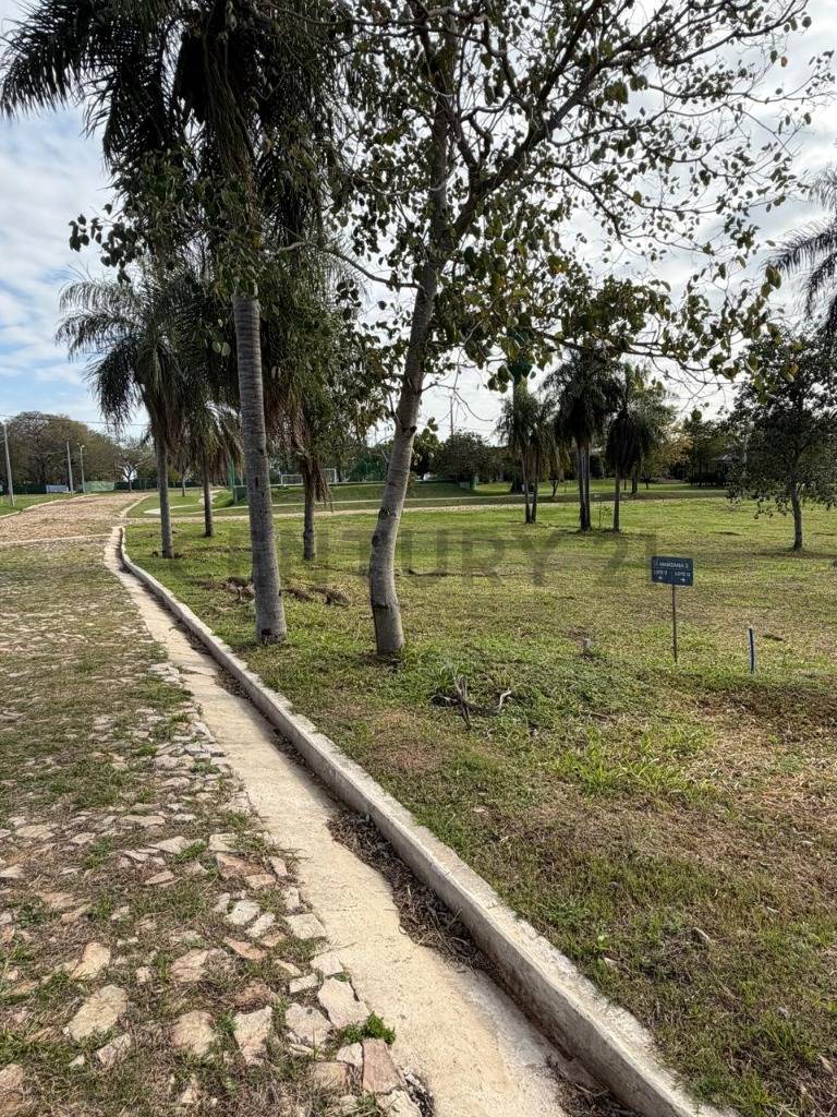 Terreno en Villa Martina San Bernardino — foto 2