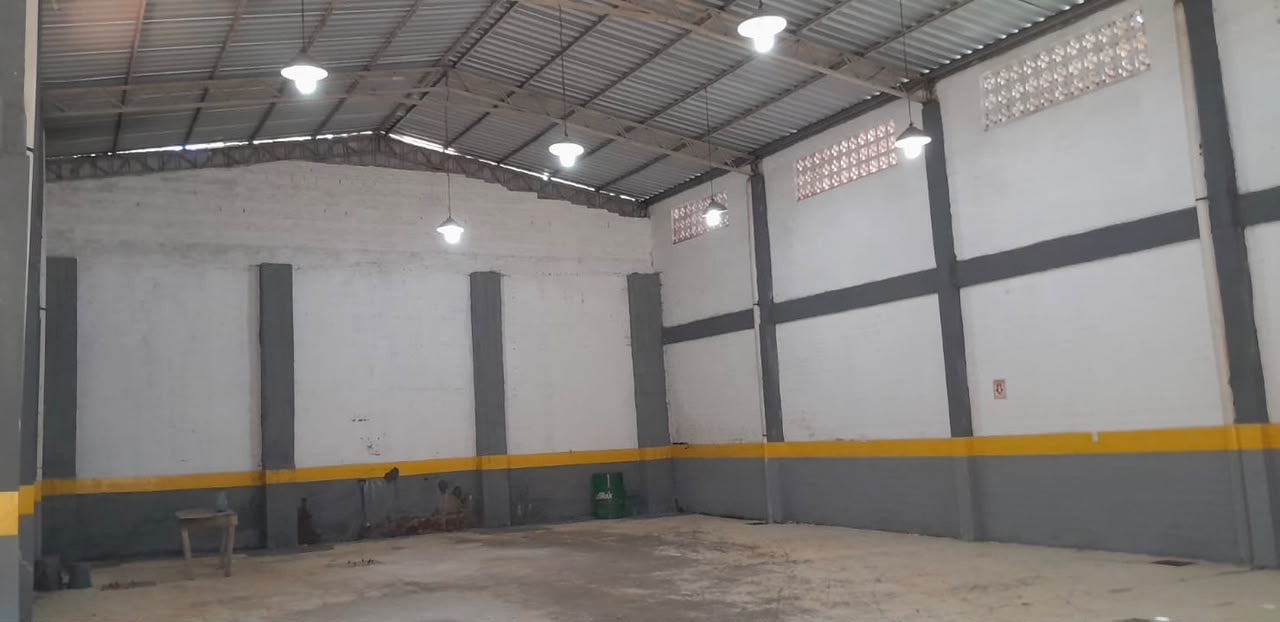ALQUILO TINGLADO SAN LORENZO ZONA AVELINO MARTÍNEZ — foto 3