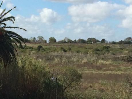 Terreno Bajo La Petisa-polooeste Industria Y Logística 147065m2