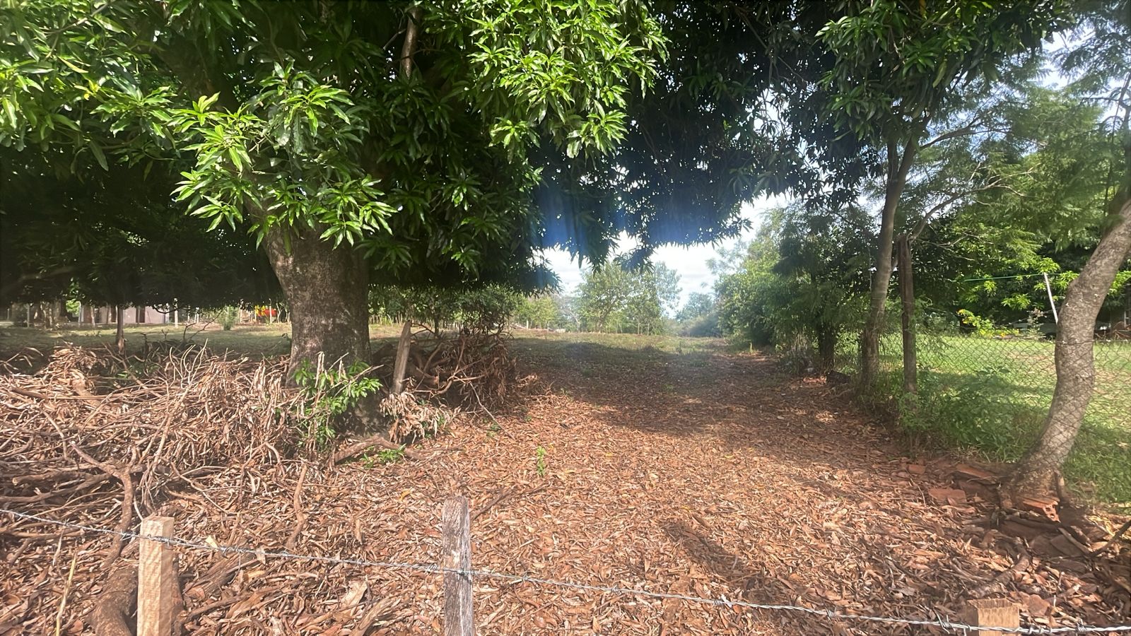 HERMOSO TERRENO EN  VENTA  - ZONA CAAGUAZO. SHY — foto 3