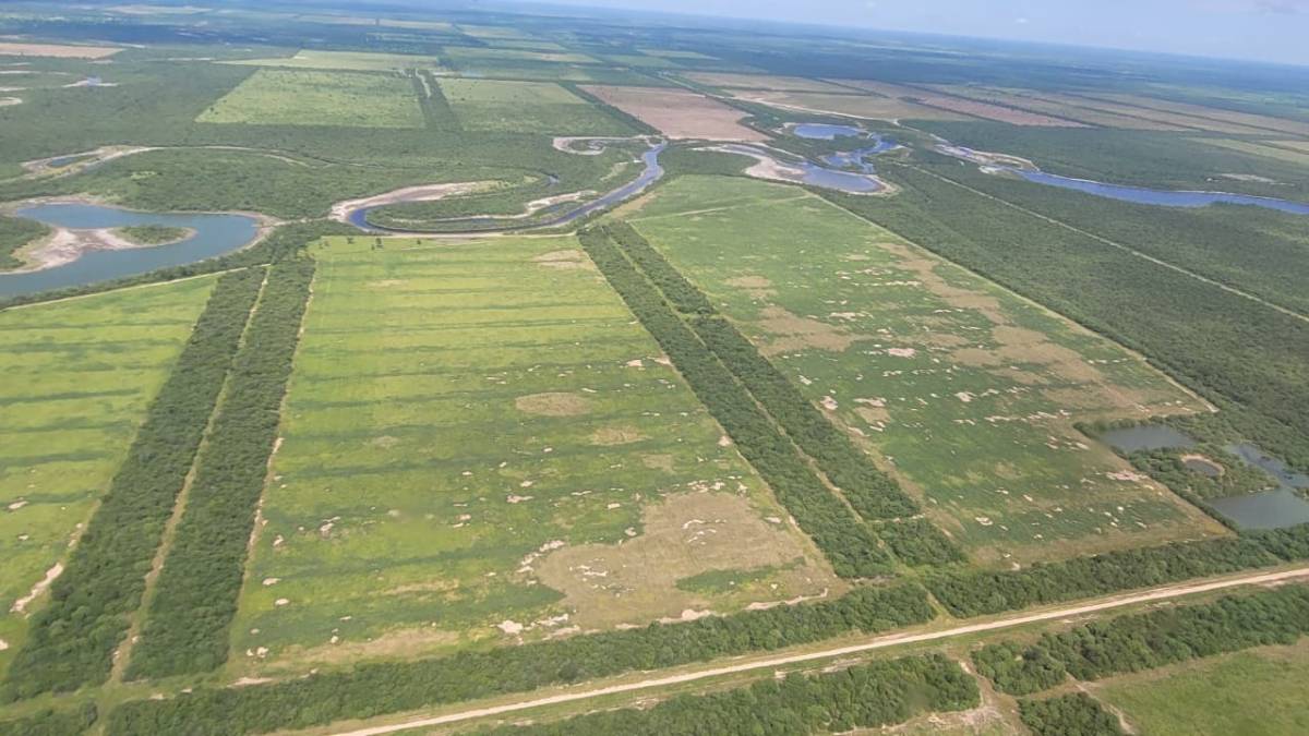 EN VENTA ESTANCIA GANADERA DE 801 HECTAREAS EN TTE IRALA FERNANDEZ, CHACO — foto 3