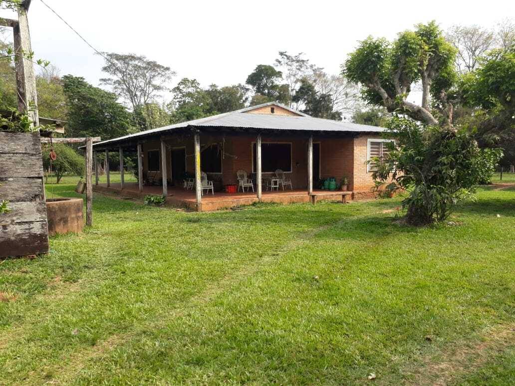 CAMPO AGRICOLA, GANADERO Y FORESTAL EN VENTA | 4.091 HECTÁREAS | SAN PEDRO. — foto 3