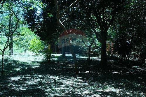 TERRENO EN VENTA, CAACUPE — foto 2