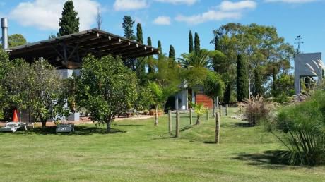 Espectacular Chacra Con 2 Casas, 10000 M2 Terreno