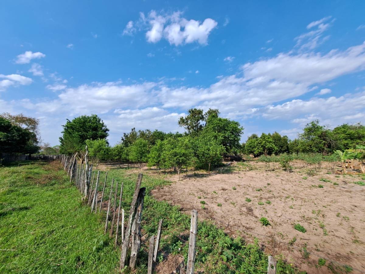 Estancia en venta con 319 ha. Concepción, Loreto — foto 3