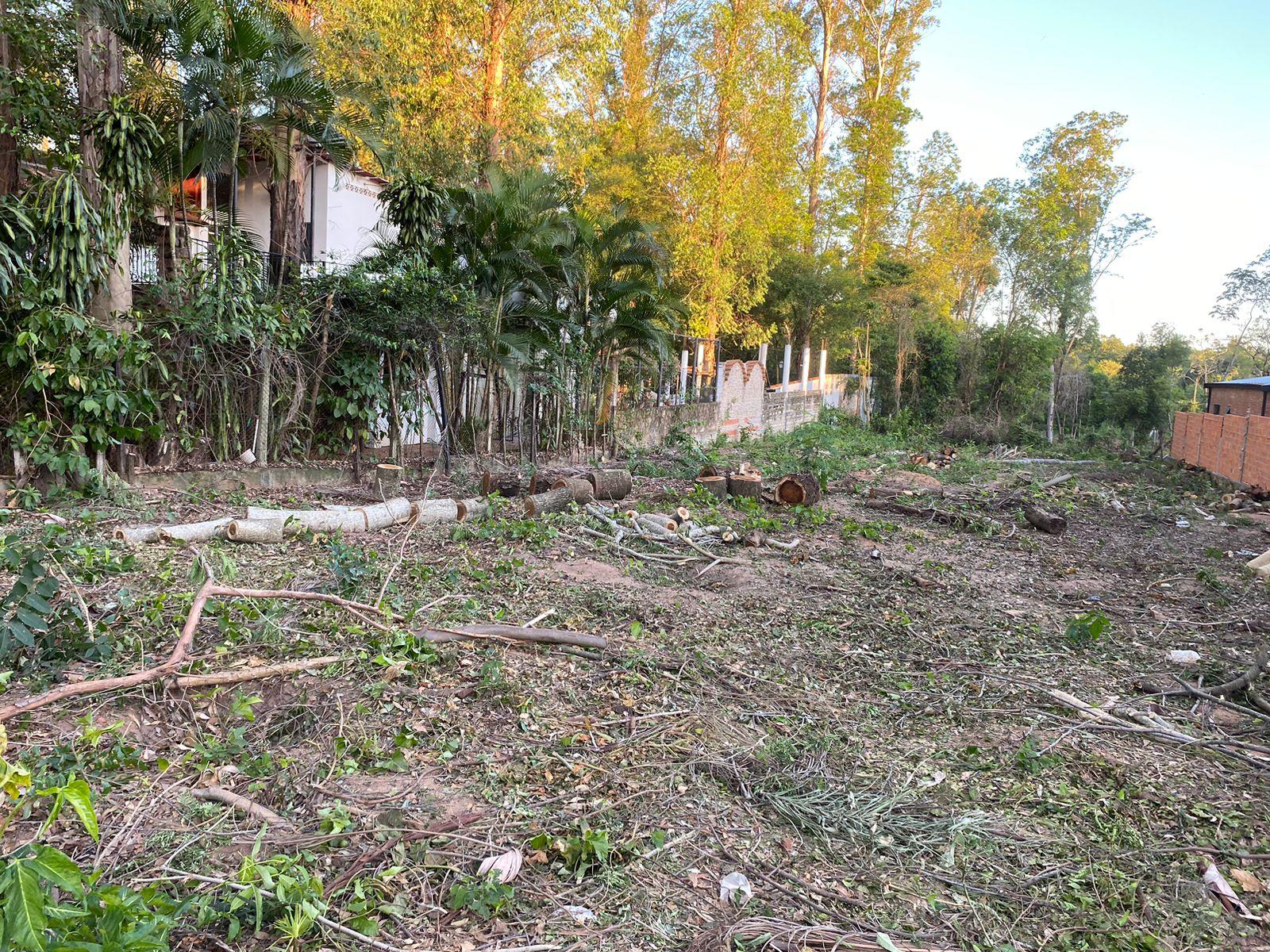 Vendo Hermoso Terreno De 800 M2 En Fracción La Gruta, San Bernardino — foto 2