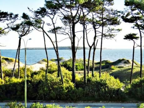 Apartamento En Venta 3 Dormitorios