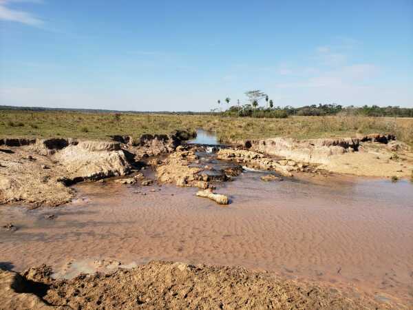 VENDO PROPIEDAD RURAL EN ALTO PARANÁ DISTRITO DE ITAKYRY — foto 3