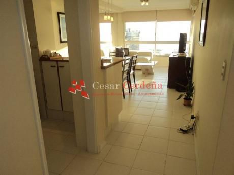 Apartamentos En Playa Brava
