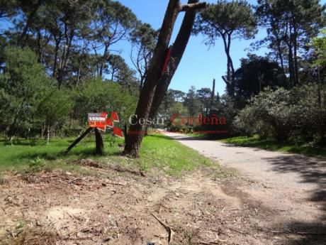 Lote En Excelente Valor - Zona Residencial
