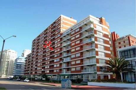 Apartamentos En Playa Brava