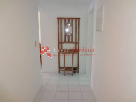 Apartamentos En Playa Brava