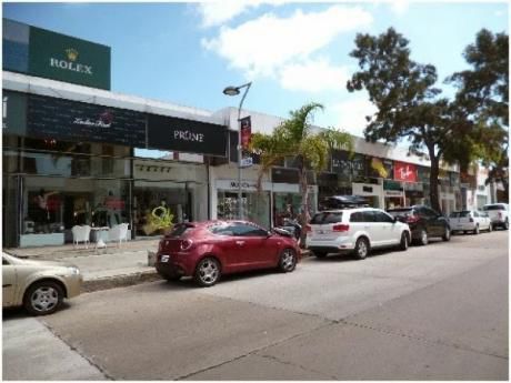 Locales Comerciales En Punta Del Este