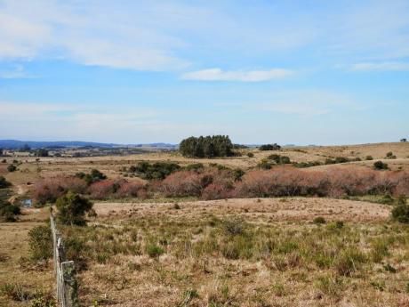 Chacras / Campos En Maldonado