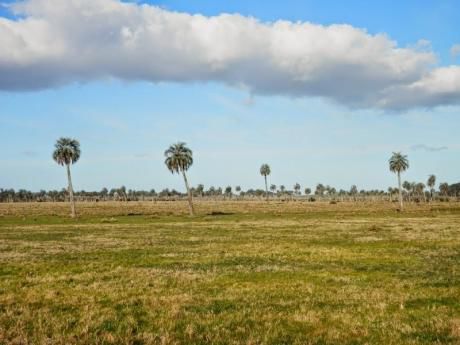 Chacras / Campos En Rocha