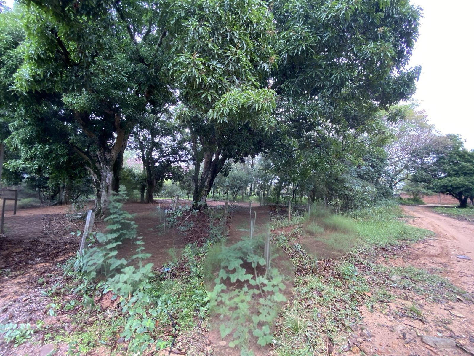 Vendo Terreno en San Bernardino - Zona la Suiza — foto 2