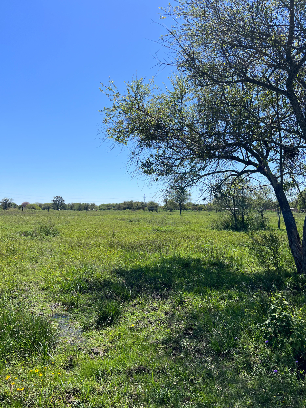 Terreno en venta - Villa Hayes — foto 3
