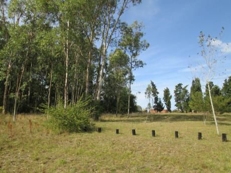 Terreno En Ruta 101 Y Camino Escobar