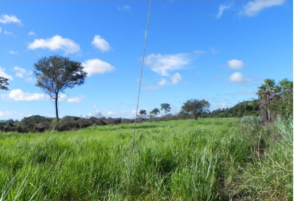 Vendo Estancia de 16.000 Hectáreas en Puerto Risso, San Lázaro - CLCS6983042 — foto 2