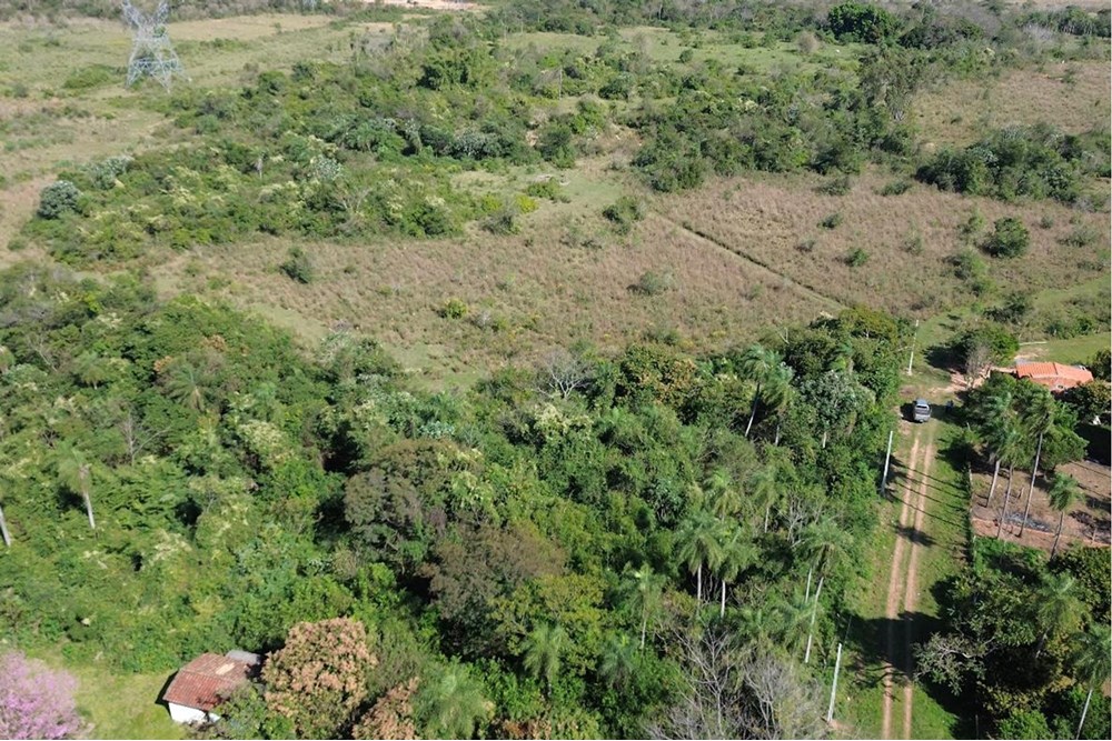 VENDO 7 HECTAREAS EN ALTOS CORDILLERA — foto 2