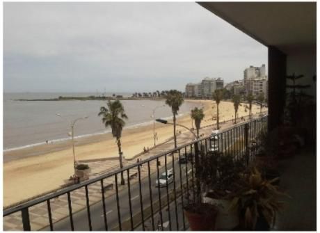 Rambla Y Guayaqui, Impecable, 3er. Piso Preciosa Vista !