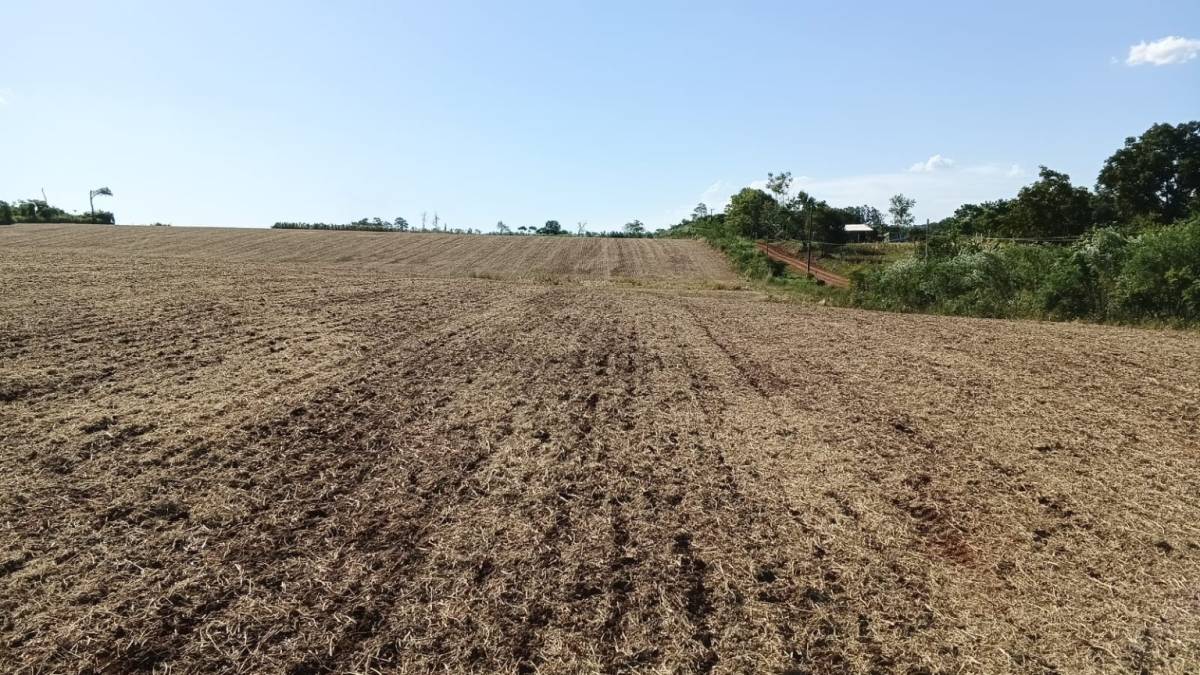EN VENTA PROPIEDAD 8 HECTAREAS AGRICOLA MECANIZADA — foto 2