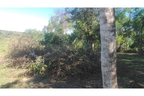 VENDO 2 TERRENOS EN LOMA GRANDE - AGUA-Y — foto 3