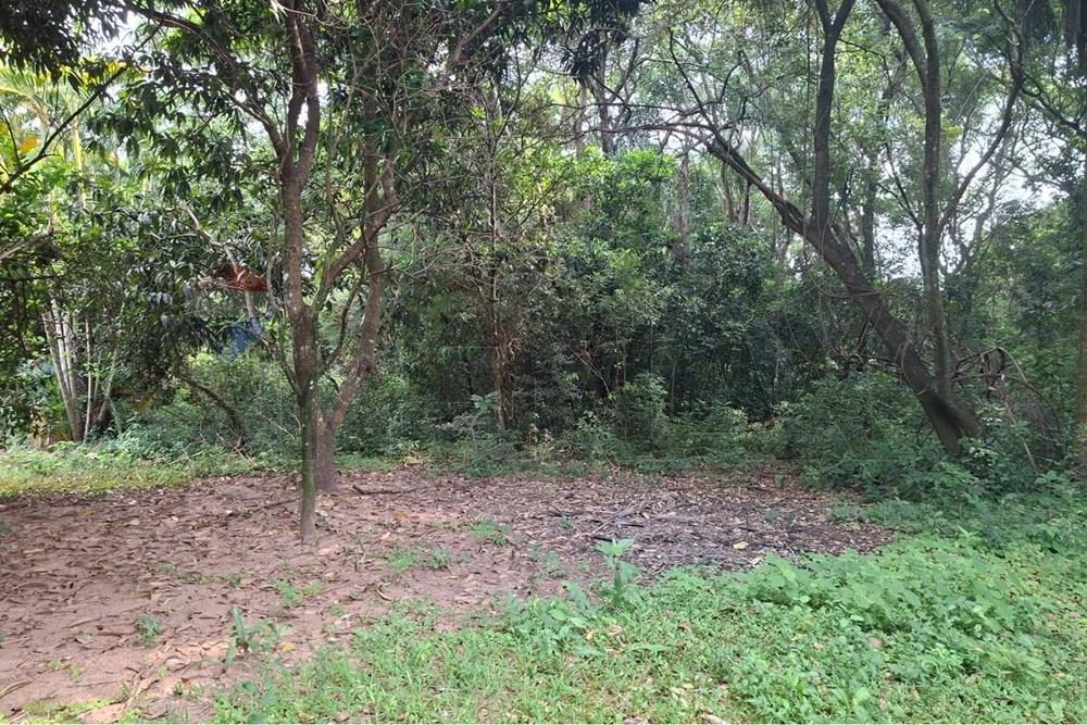 Terreno en venta en Altos — foto 2