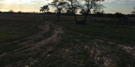De Ocasión Vendo 32 Hectáreas De Terreno Sobre Carretera En El Urubo - Santa Cruz De La Sierra
