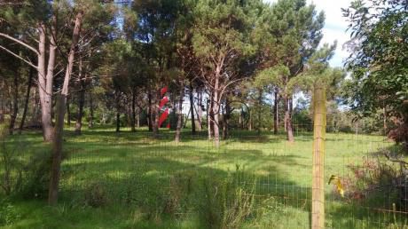 Terreno En Rincón Del Indio 2 Hectáreas
