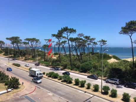 Apartamento En La Mansa 2 Dormitorios Con Terraza Y Estufa A Leña