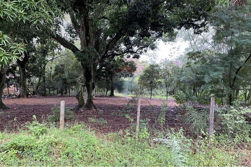 VENTA DE TERRENO EN SAN BERNARDINO — foto 3