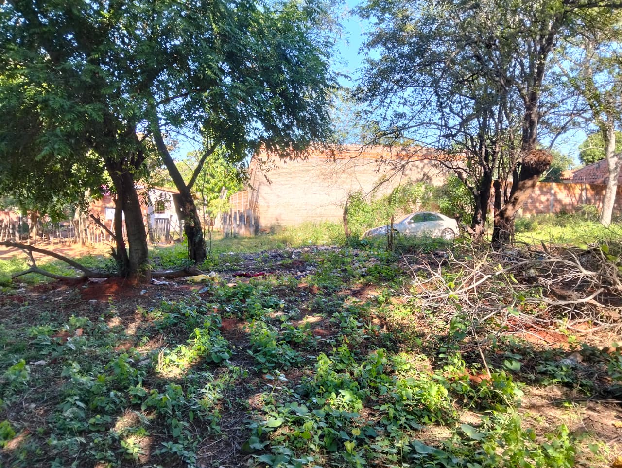 Terreno en venta en Limpio, Don Bosco — foto 2