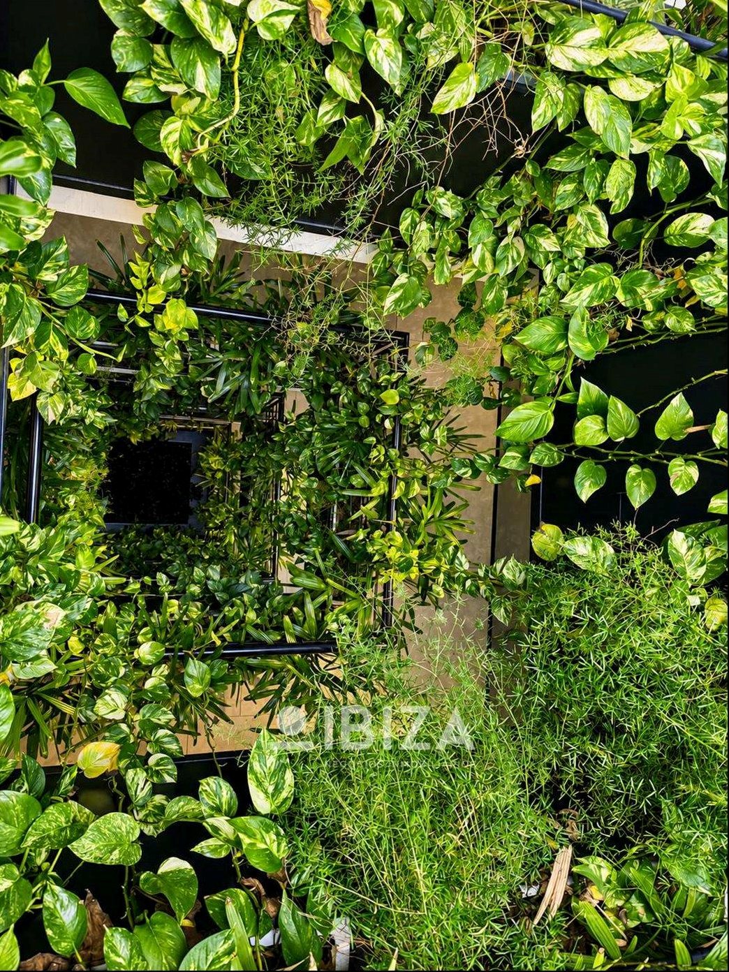 Alquiler Apartamento a estrenar 1 dormitorio con terraza, azotea y garage en Malvín · Foto 11