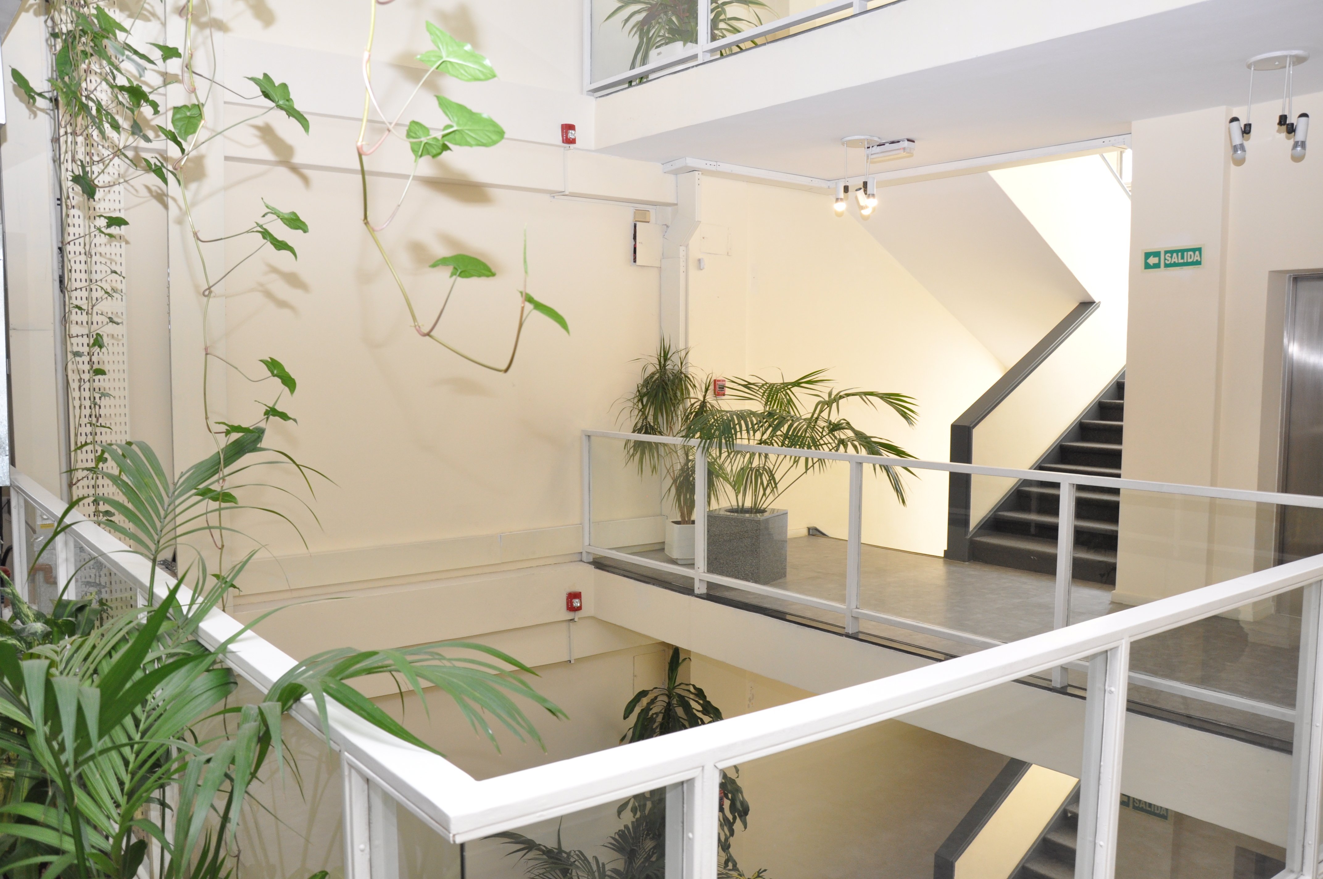 Alquiler de Oficinas en Edificio Sarandi, Ciudad Vieja · Foto 4